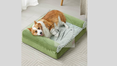 Why the Barc London Luxury Pet Bed is the Ultimate Choice for Your Pet’s Comfort