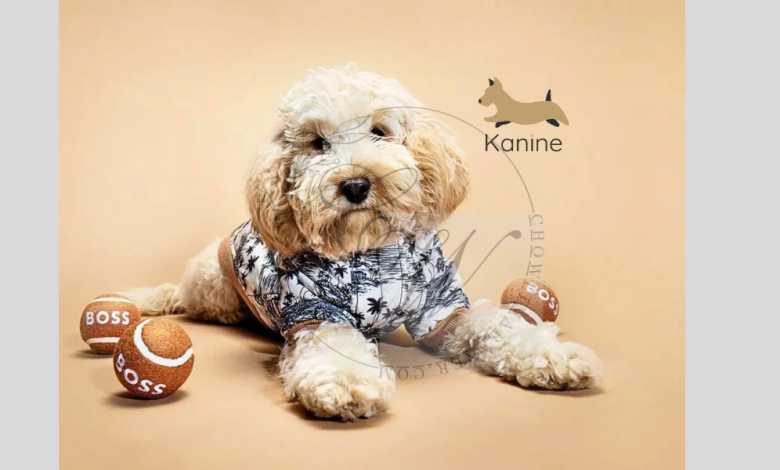 Elevate Your Pet’s Style with Kanine Designer Pet Accessories