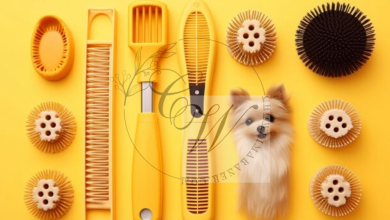 Why Les Poochs Luxury Dog Brushes Are the Ultimate Grooming Tool for Your Pet