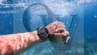 Diver’s Watch Collection Exploring the Best Timepieces for Underwater Adventures