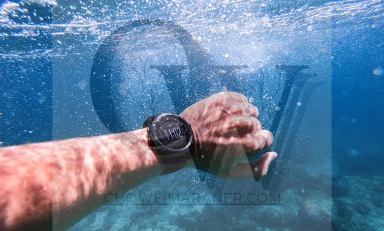 Diver’s Watch Collection Exploring the Best Timepieces for Underwater Adventures