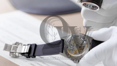 How Professional Services Help in Authenticating Watches for Peace of Mind